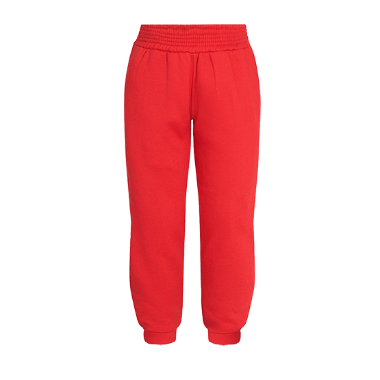 Girls top pe joggers