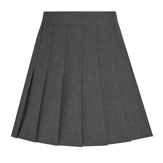 Girls Pleated School Skirt