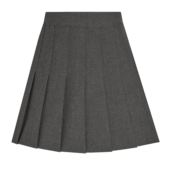 Girls Pleated School Skirt – David Luke Ltd